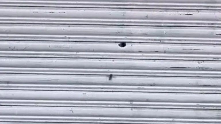 मुरैना में दिनदहाड़े गोलियों की गूंज! मेडिकल स्टोर पर फायरिंग, 25 लाख की फिरौती से जुड़ा मामला