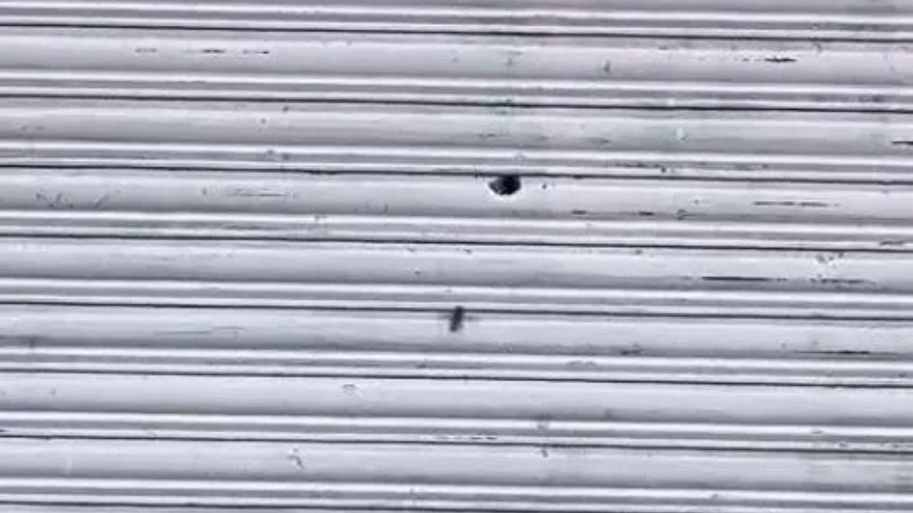 मुरैना में दिनदहाड़े गोलियों की गूंज! मेडिकल स्टोर पर फायरिंग, 25 लाख की फिरौती से जुड़ा मामला