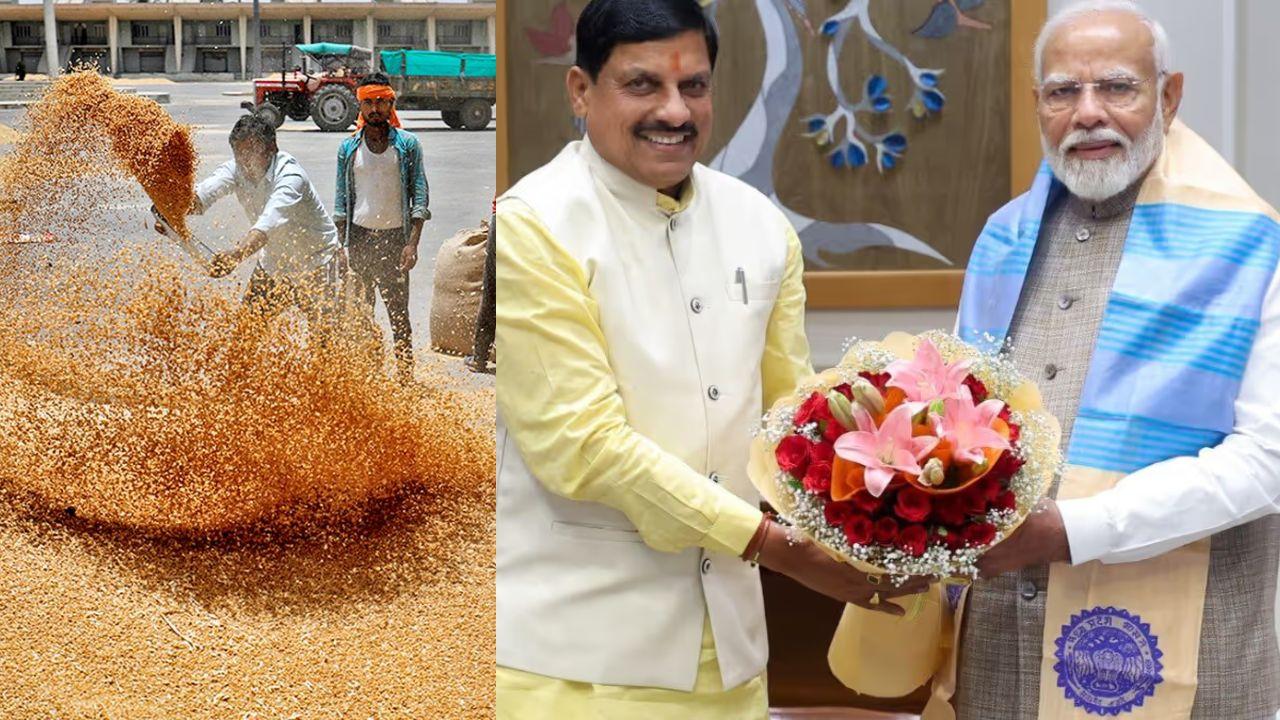 कृषक कल्याण : MP में MSP पर होगी 100 लाख मीट्रिक टन गेहूं खरीदी, सीएम डॉ मोहन यादव ने PM Modi का जताया आभार