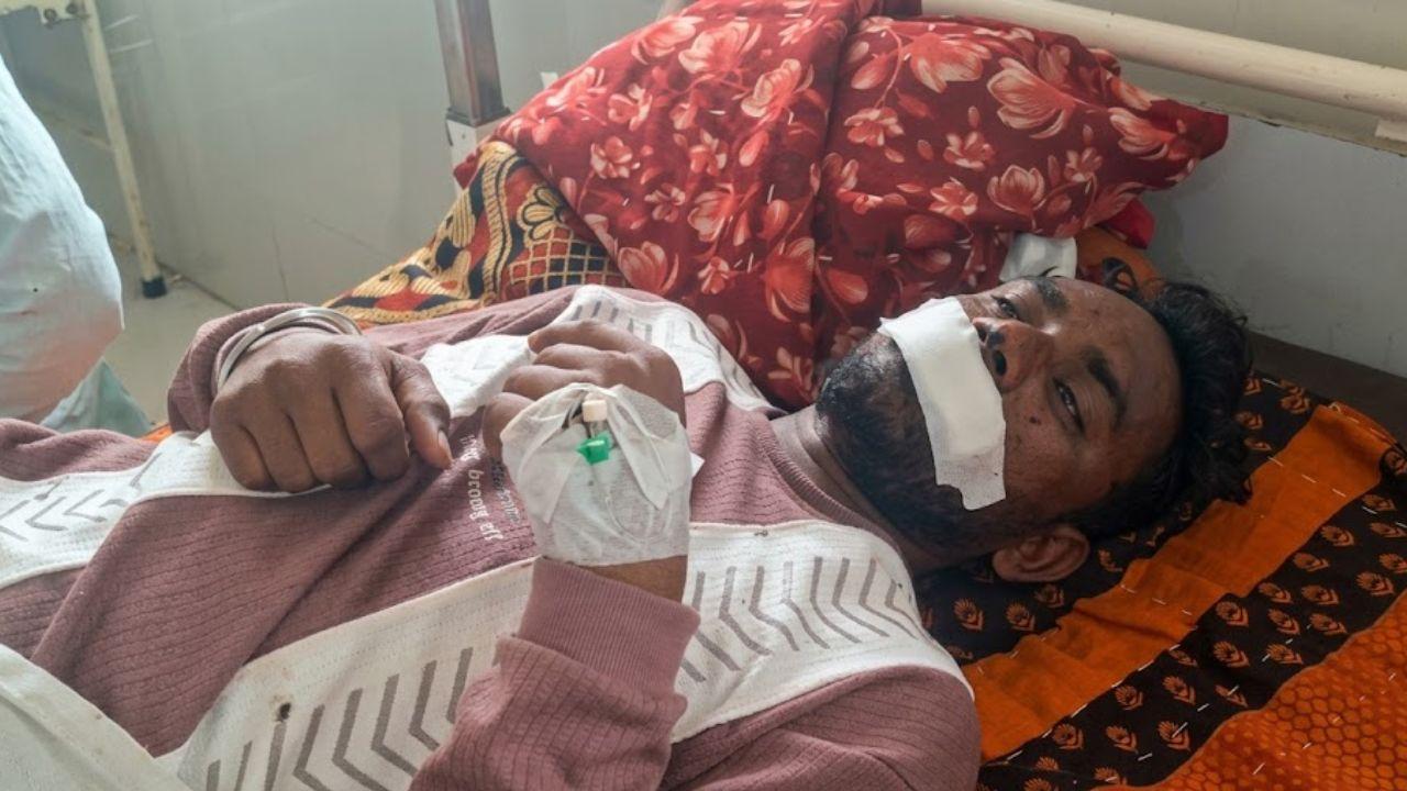 खंडवा में भेड़िए का खौफ! शौच कर रहे युवक पर हमला, ग्रामीणों ने घेरकर मार डाला