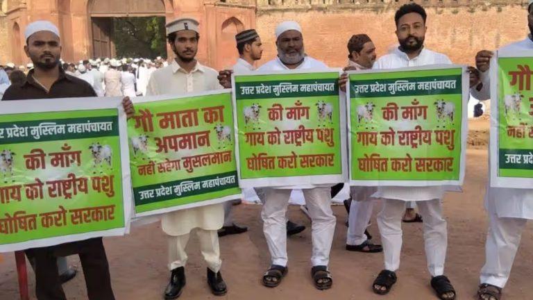 मुस्लिम महापंचायत ने उठाई गौ माता को ‘राष्ट्रीय पशु’ बनाने की मांग, कहा- गाय देश की संस्कृति और करोड़ों लोगों की आस्था का प्रतीक