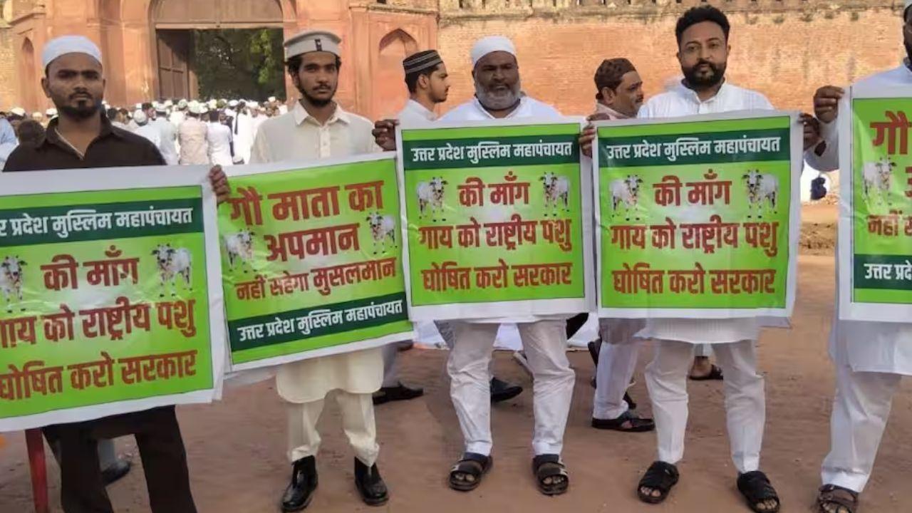 मुस्लिम महापंचायत ने उठाई गौ माता को ‘राष्ट्रीय पशु’ बनाने की मांग, कहा- गाय देश की संस्कृति और करोड़ों लोगों की आस्था का प्रतीक