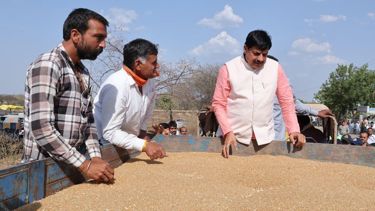 सीएम डॉ मोहन यादव कर रहे गेहूं उपार्जन की मॉनिटरिंग, अब तक किसानों को 10403.17 करोड़ रुपये हुआ भुगतान