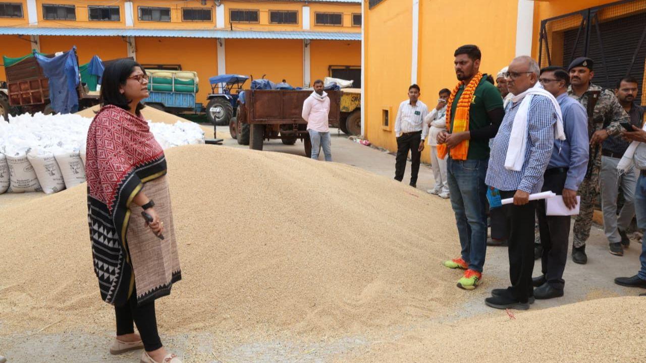 गेहूं उपार्जन केंद्र पर कम मिले तौल कांटे, समिति प्रबंधक निलंबित, खरीदी प्रभारी का वेतन काटने, नोडल अधिकारी की वेतनवृद्धि रोकने के निर्देश