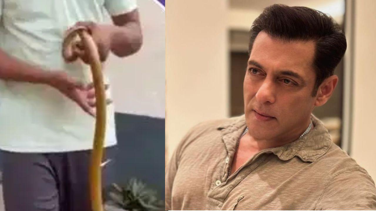 सलमान खान के गैलेक्सी अपार्टमेंट में घुसा सांप, देर रात मची अफरा-तफरी