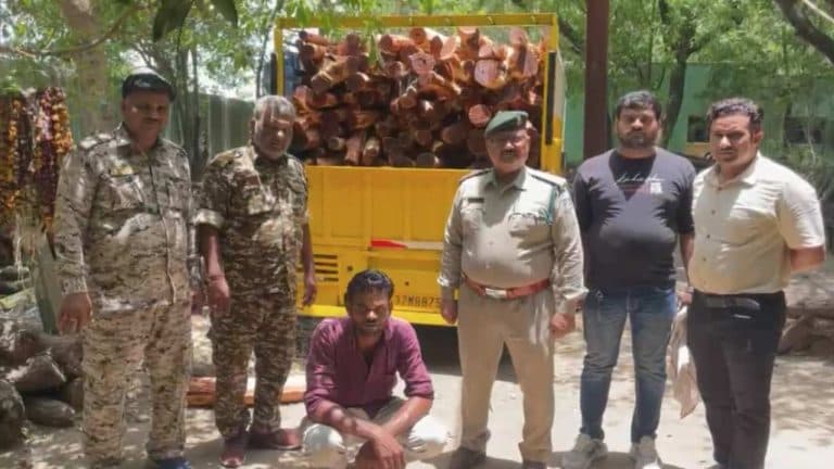 मुरैना में लकड़ी माफियाओं पर वन विभाग का बड़ा एक्शन, खैर लकड़ी से भरा वाहन जब्त