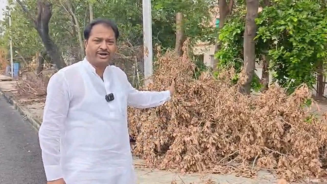 भोपाल में अयोध्या बायपास की 10 लेन सड़क पर कांग्रेस के सवाल, प्रवीण धोलपुरे बोले “हजारों पेड़ काटे, अब गुणवत्ता संदेह के घेरे में”