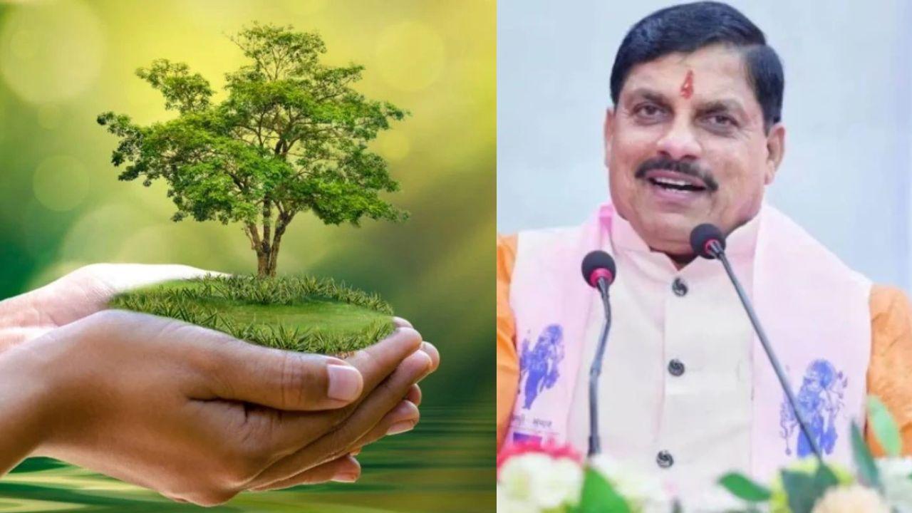 विश्व पर्यावरण दिवस 2026: CM मोहन यादव करेंगे ‘एक पेड़ मां के नाम 2.0’ का शुभारंभ, 30 सितंबर तक चलेगा अभियान