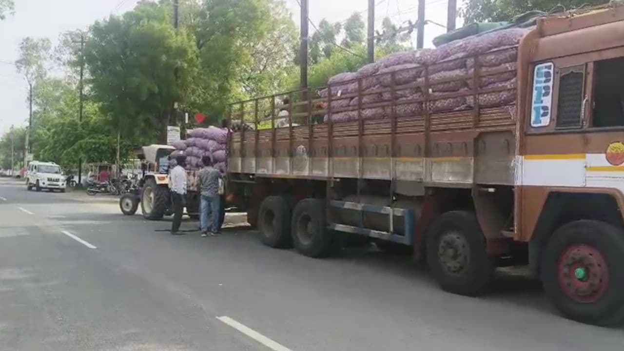 जावद मंडी में ऊटी लहसुन बीज पर टैक्स चोरी की आशंका, वायरल वीडियो के बाद जांच की मांग तेज
