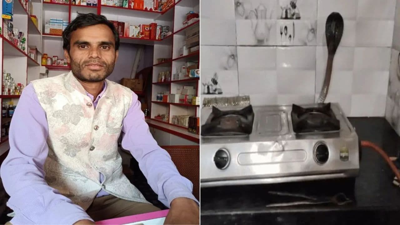 रात 12 बजे किचन में छिपा था सांप, दूध रखने पहुंचे स्कूल संचालक को डसा, दर्दनाक मौत