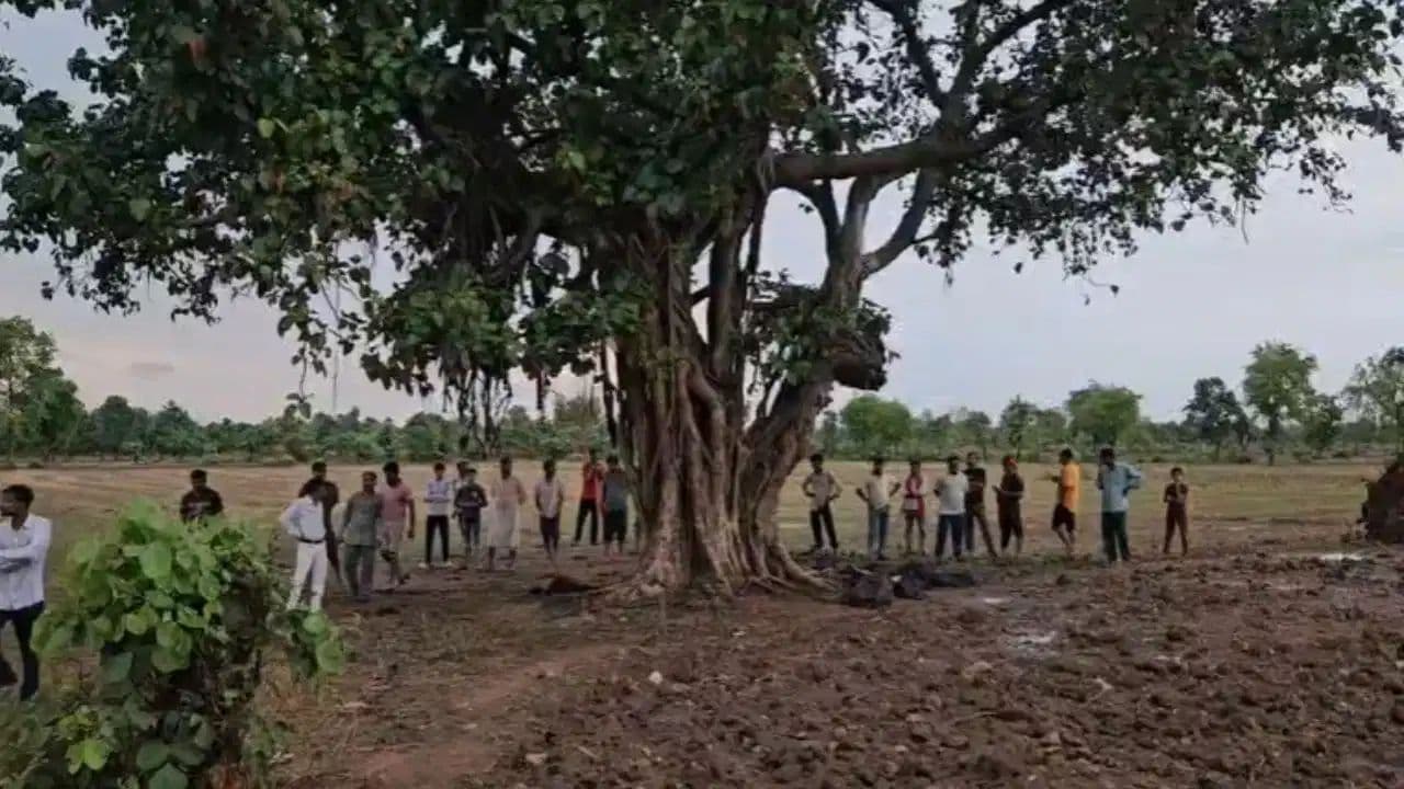छतरपुर में आकाशीय बिजली का कहर: बरगद के पेड़ के नीचे खड़ी 10 बकरियों की मौत, गरीब परिवार को लाखों का नुकसान