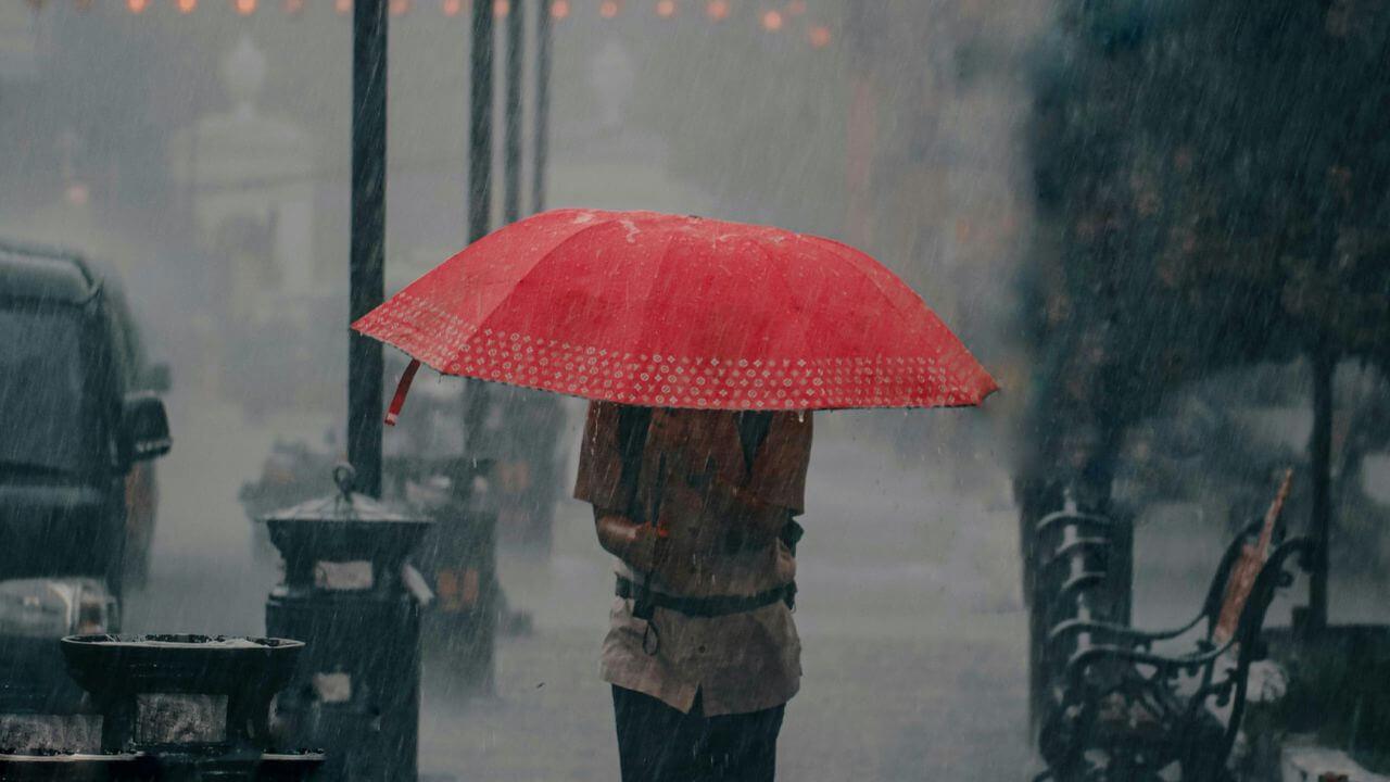 8 दिवसांपूर्वीच मान्सून केरळमध्ये दाखल; कोकण-गोवा आणि महाराष्ट्रातही मुसळधार पावसाचा अलर्ट