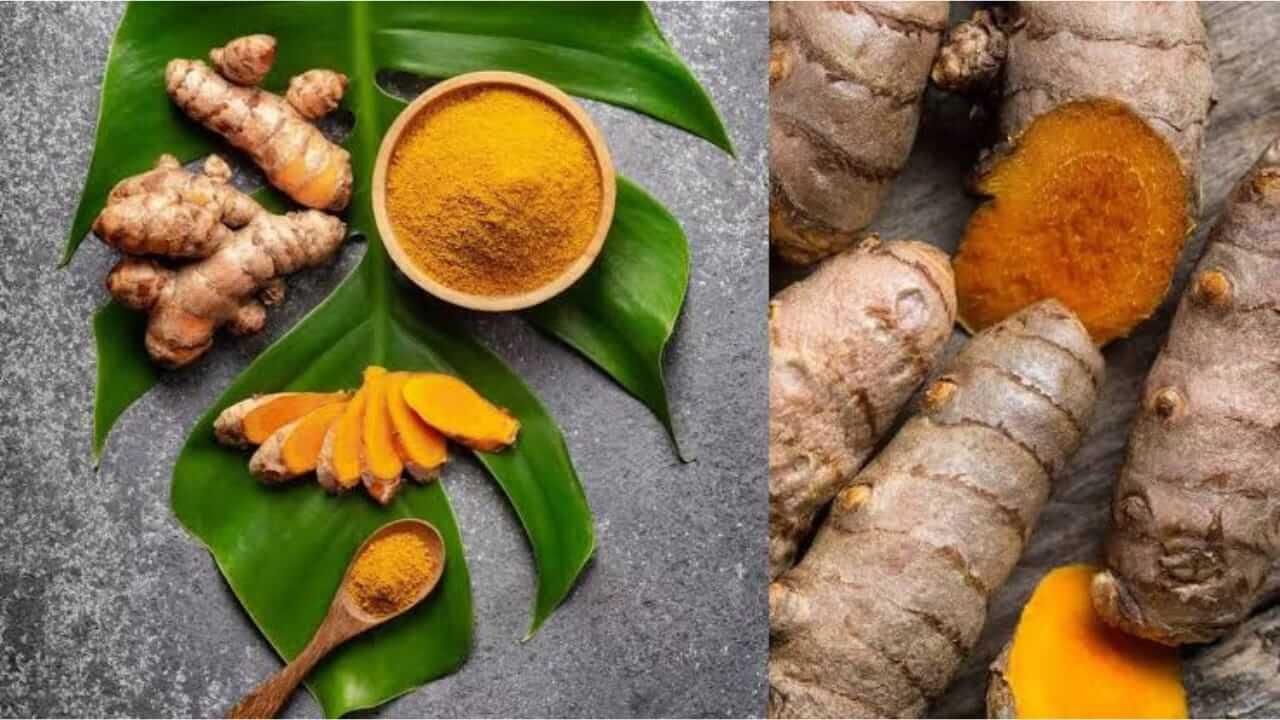 चमकदार त्वचेसाठी हळदीचे ‘हे’ फेसपॅक वापरून पाहा!