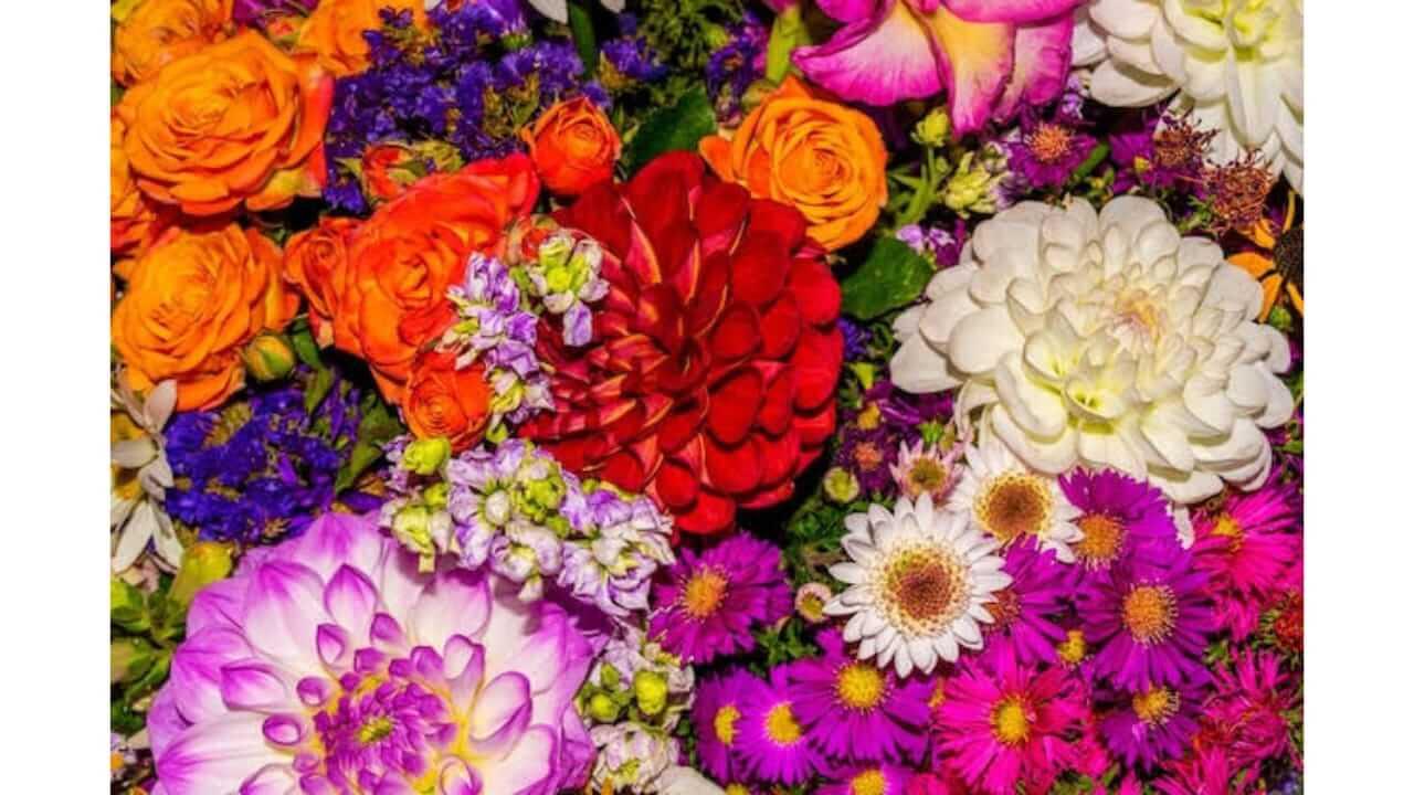 स्वप्नात वेगवेगळी फुले दिसण्याचे काय आहेत संकेत, जाणून घ्या