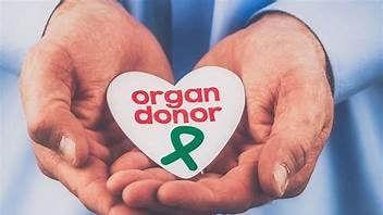 84 वर्षांच्या महिलेने आपल्या मुलीला दिली किडनी, किती वयापर्यंत अवयव दान करता येतात? जाणून घ्या