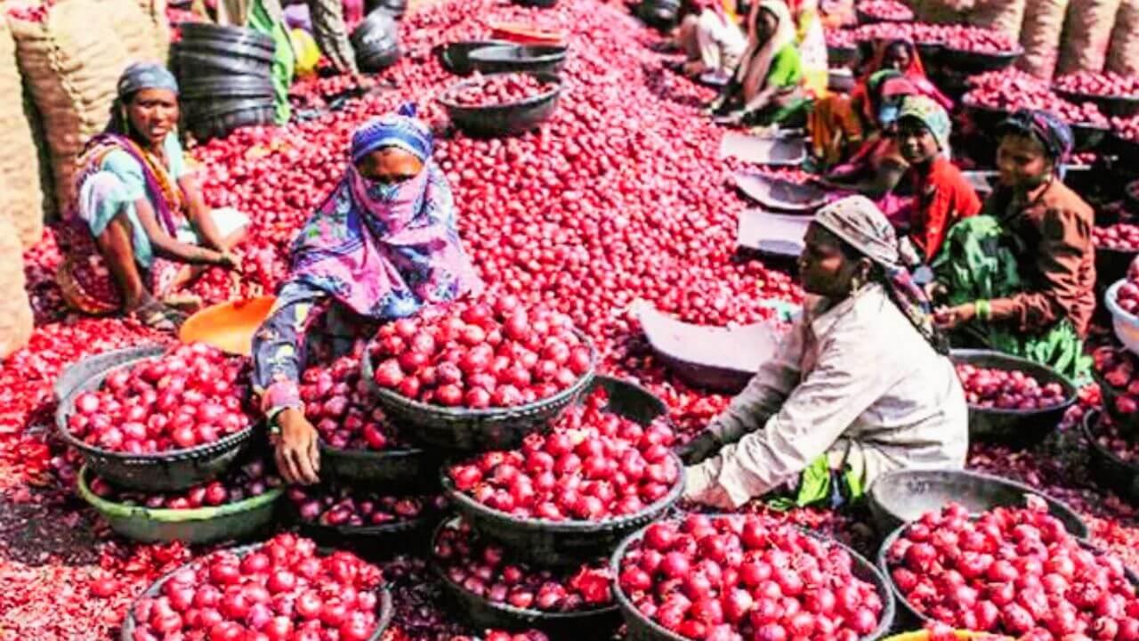Onion Price: महाराष्ट्रातील कांद्याच्या दराबाबत मोठी अपडेट समोर; कुठे अन् किती मिळतोय दर ?