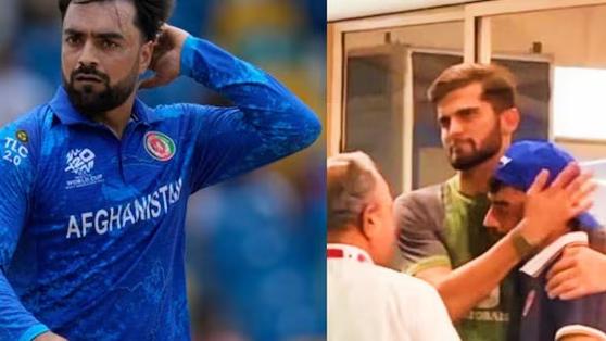 राशिद खानच्या भावाचा मृत्यू, पाकिस्तानविरुद्धचा सामना खेळला; शाहीन अफ्रीदीने मारली भावनिक मिठी