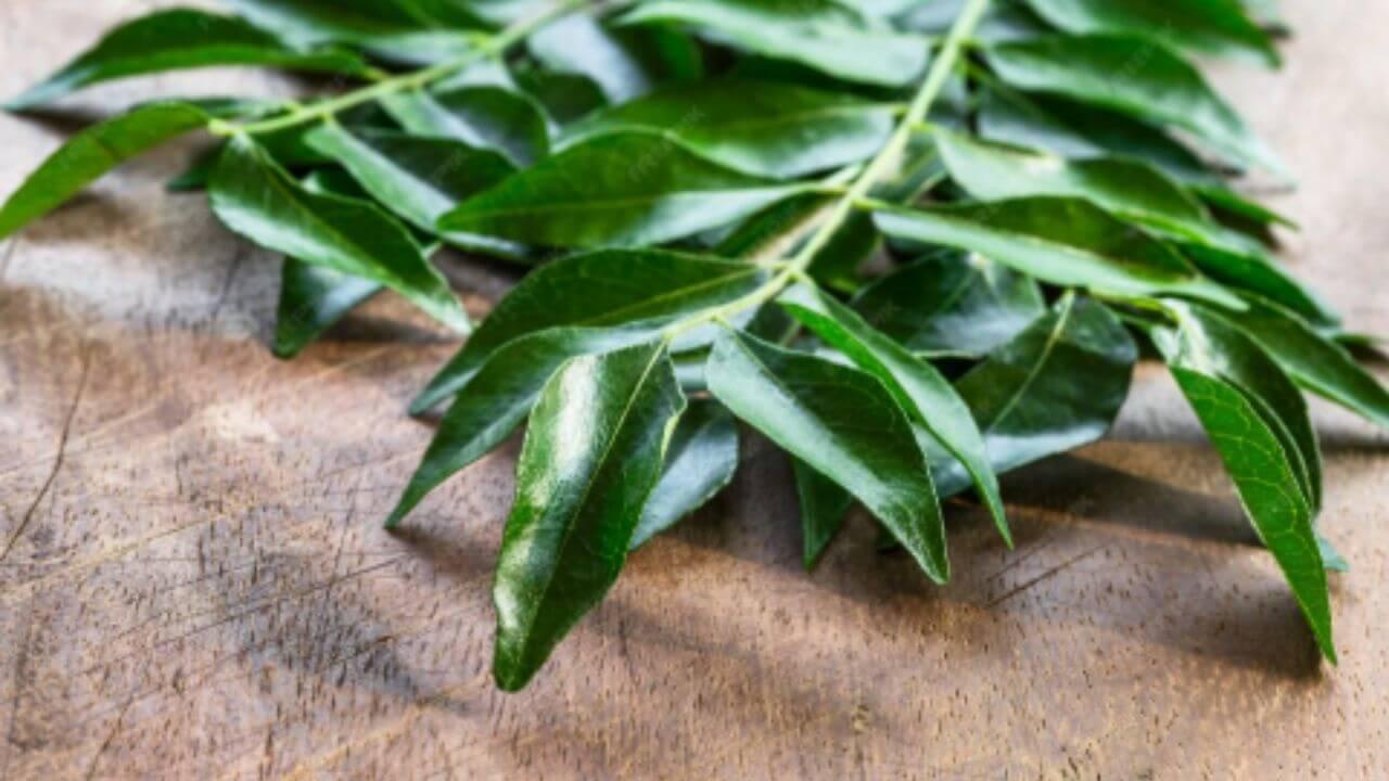 पोटाच्या समस्या दूर करते कढीपत्ता, कधी आणि कसे सेवन करावे जाणून घ्या