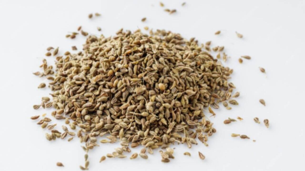 गर्भवती महिलांनी ओवा खावा की नाही? जाणून घ्या ओव्याचे फायदे आणि तोटे