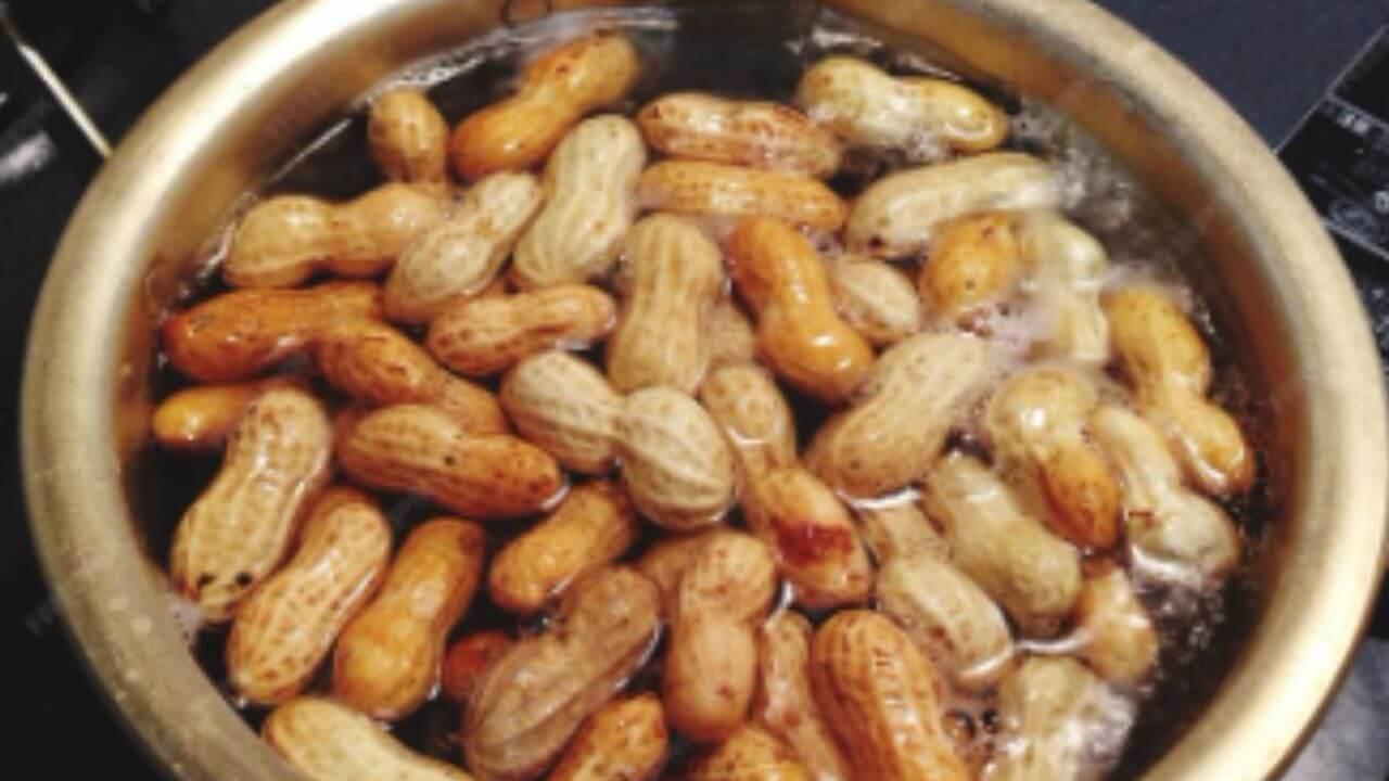 आरोग्यासाठी गुणकारी असतात उकडलेले शेंगदाणे, सांधेदुखीपासून ते हिमोग्लोबीन वाढवण्यापर्यंत आहेत अनेक फायदे