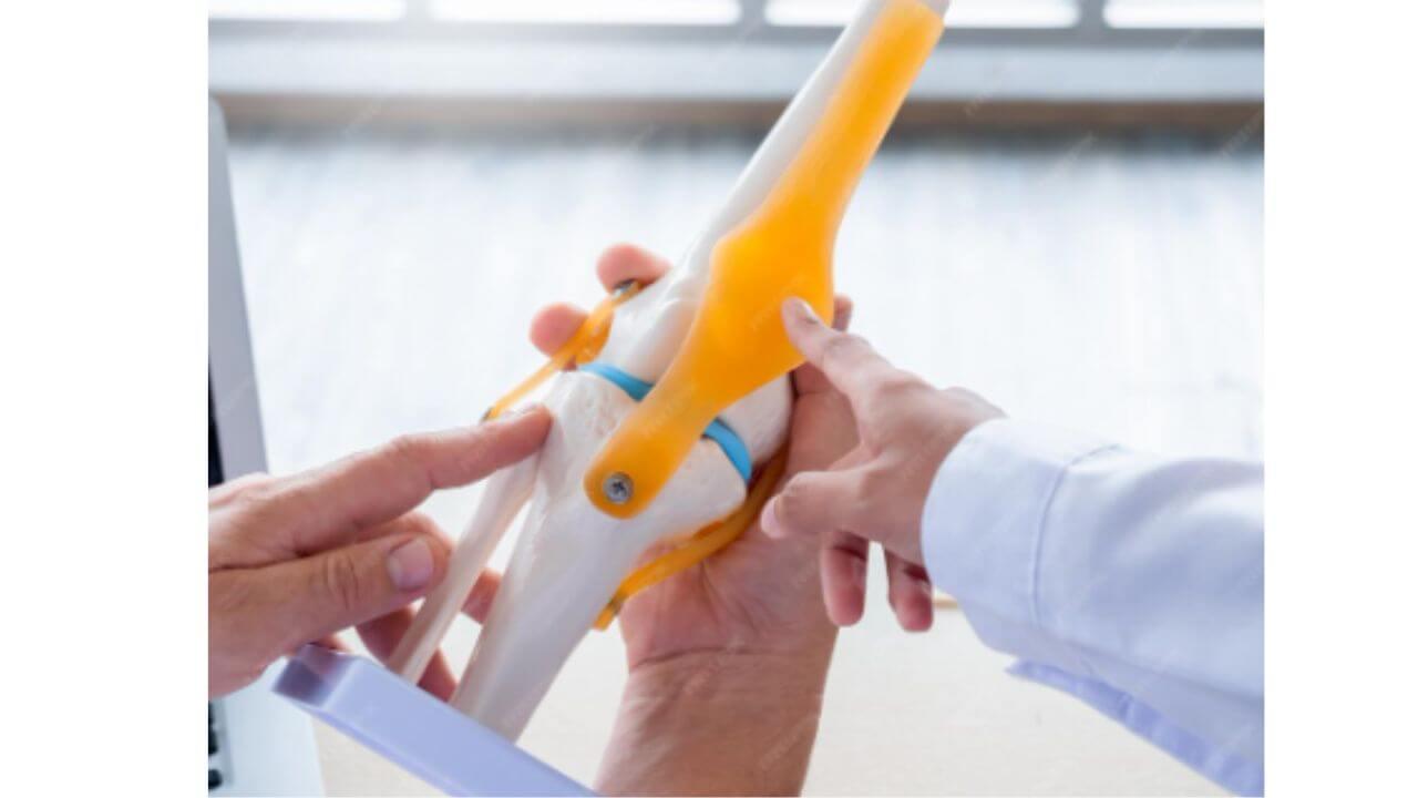 हाडे ढिसूळ होऊन सतत वेदना होतात? मजबूत करण्यासाठी नियमित खा ‘हे’ पदार्थ