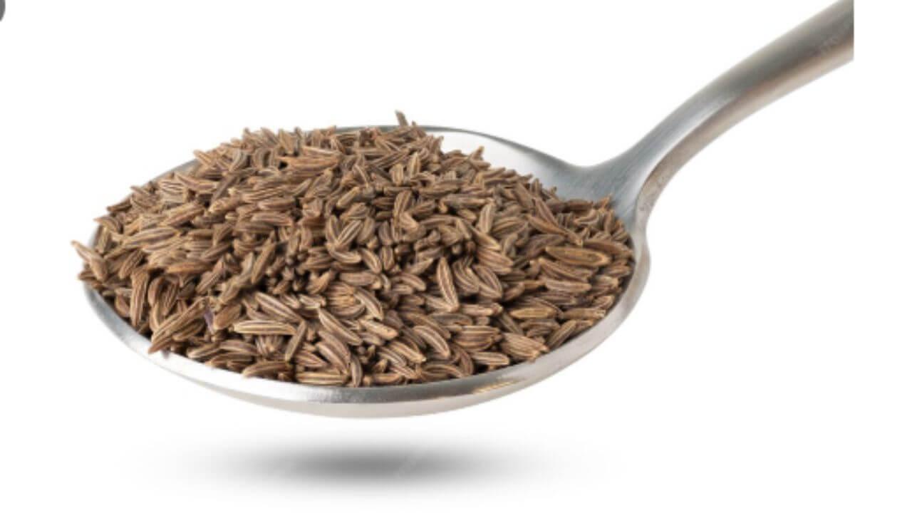 दररोज एक चमचा भाजलेले जिरे खाल्ल्याने काय होते? जाणून घ्या आश्चर्यकारक फायदे