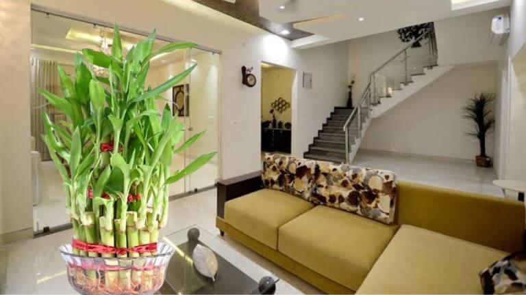 Vastu Tips : घरात या गोष्टी रिकामी ठेवू नका!! अन्यथा कायम गरीब राहाल