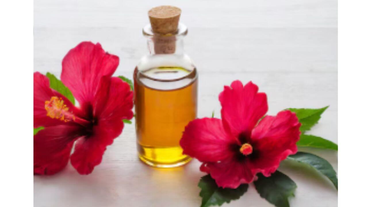 केसगळती रोखून वेगाने कसे वाढवते जास्वंदाचे तेल, घरी कसं बनवायचं जाणून घ्या