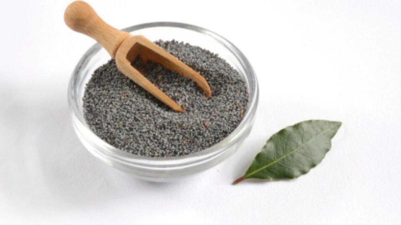 केसांच्या विविध समस्या दूर करतात सब्जीच्या बिया, जाणून घ्या फायदे आणि वापरण्याची पद्धत