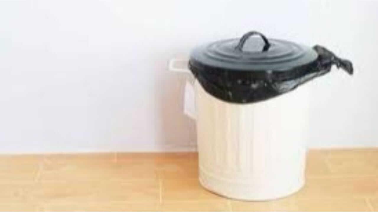 Vastu Tips : घरात चुकूनही डस्टबिन ‘या’ दिशेला ठेवू नका, काय सांगते वास्तू शास्त्र…