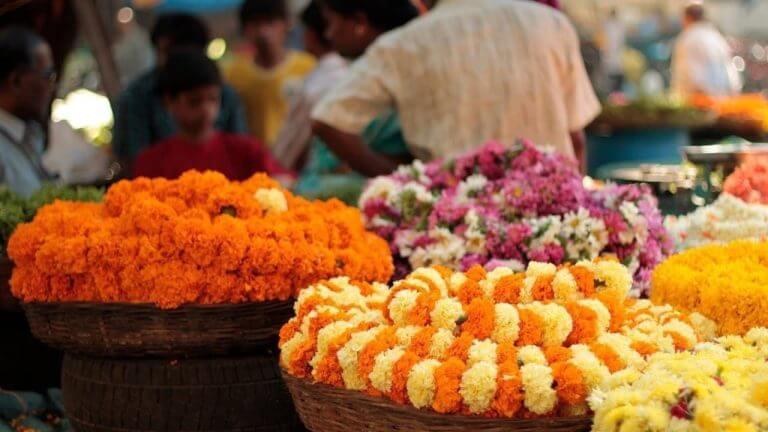 Religion : कोणत्या देवाला कोणत्या रंगाचे फूल अर्पण करावे ? जाणून घ्या…