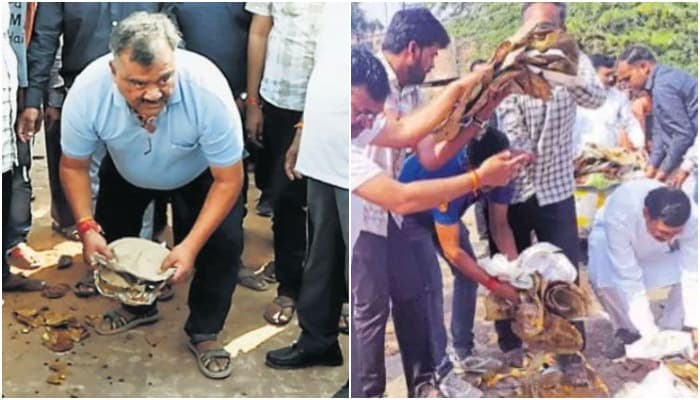 गंदगी देख भड़के कलेक्टर, नपाध्यक्ष को लगाई फटकार, उठवाईं झूठी पत्तलें