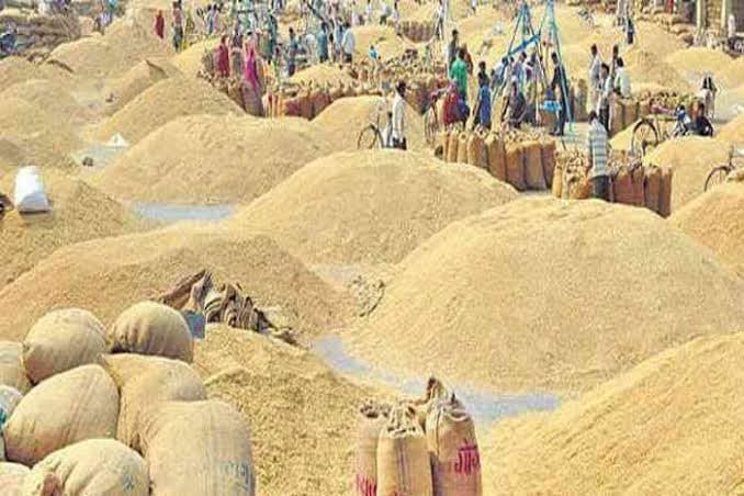 मध्य प्रदेश: धान खरीदी बन सकती है सरकार के लिए आफत, यह है बड़ा कारण