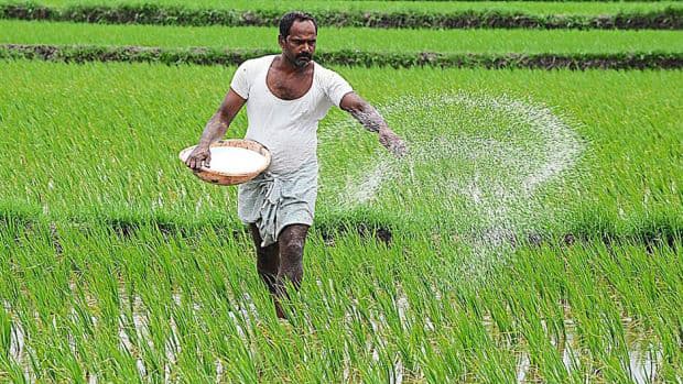 किसानों के लिए खुशखबरी, समर्थन मूल्य खरीदी के आदेश जारी