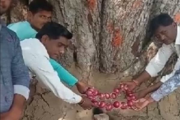 भगवान की शरण में पहुंचे किसान, महादेव को चढ़ाई प्याज की माला, मांगी ये मुराद