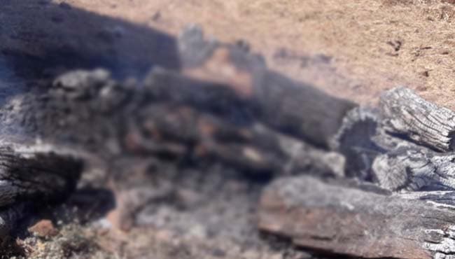 सनसनीखेज वारदात: भाई ने भाई को बेरहमी से पीटा और जिन्दा जला दिया