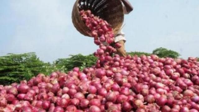 भोपाल: प्रशासन की निगरानी में 50 रुपए किलो बिक रही प्याज, चार जगह लगे काउंटर