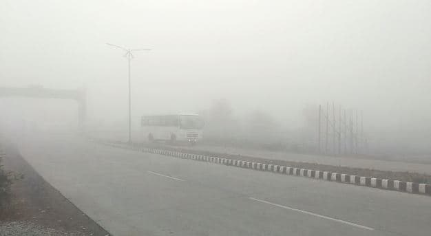 सुबह छाया घना कोहरा, ओस जमने से हरे-भरे खेत हो गए सफेद