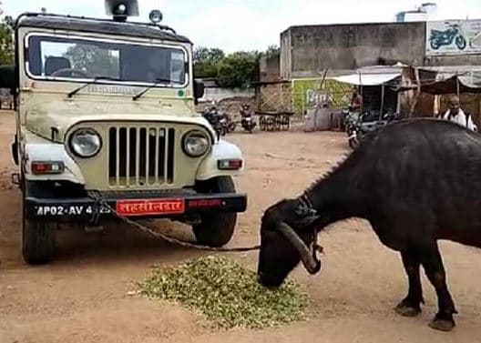 किसान से रिश्वत मांगने वाला तहसीलदार निलंबित, कलेक्टर ने की कार्रवाई