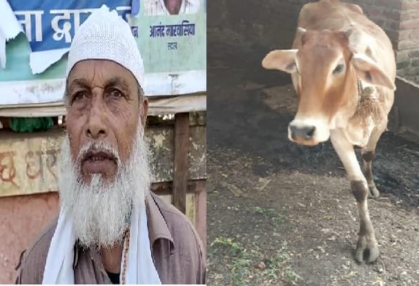 गुमशुदा गाय पर ”हाजी जी” ने रखा 10000 का इनाम, सोशल मीडिया पर भी की अपील