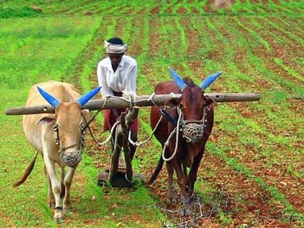 ‘कर्जमाफी’ ना होने से किसानों में आक्रोश, कृषि मंत्री बोले- फिर से शुरु होगी प्रक्रिया
