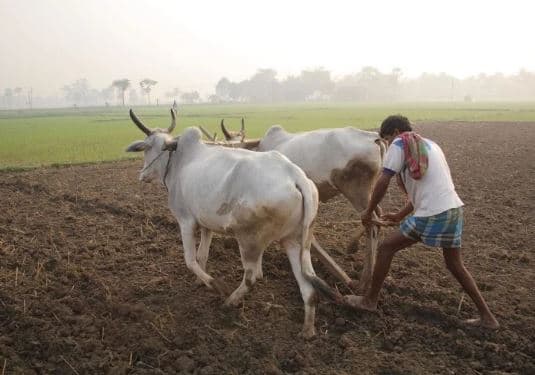 किस्तों में माफ़ होगा किसानों का कर्ज, पहले इनको मिलेगा लाभ