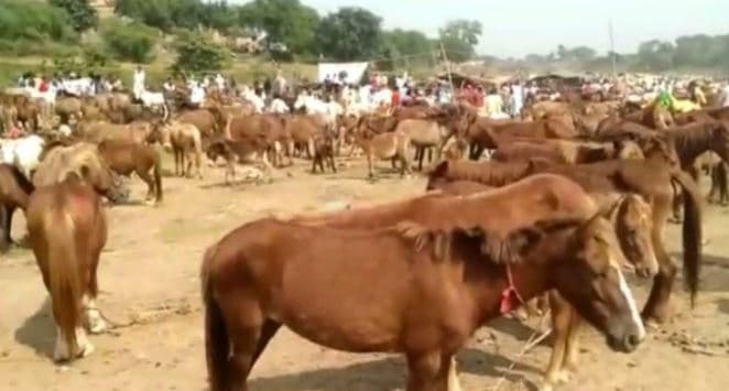 शराब के नशे में धूत्त होकर घूम रहा था पुलिसकर्मी, लोगों ने दौड़ा दौड़ा पीटा
