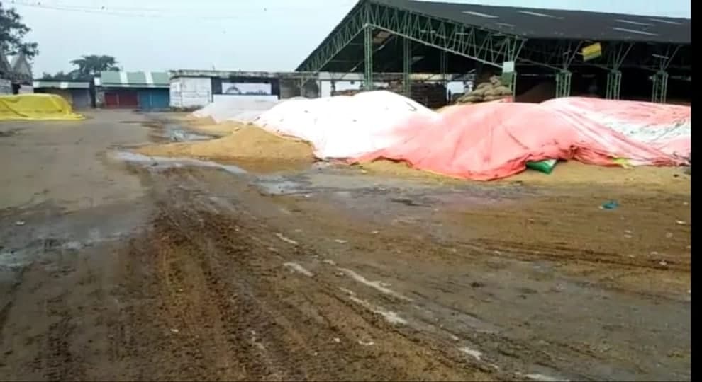 खराब धान खरीदने वाली समितियों को किया जाएगा ब्लैक लिस्ट