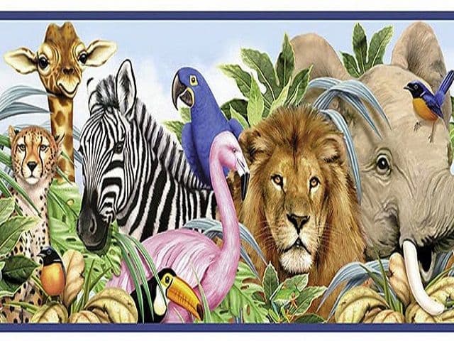 हमका माफी दई दे: कोरोना के समय जंगल के पशुओं को क्या आया याद
