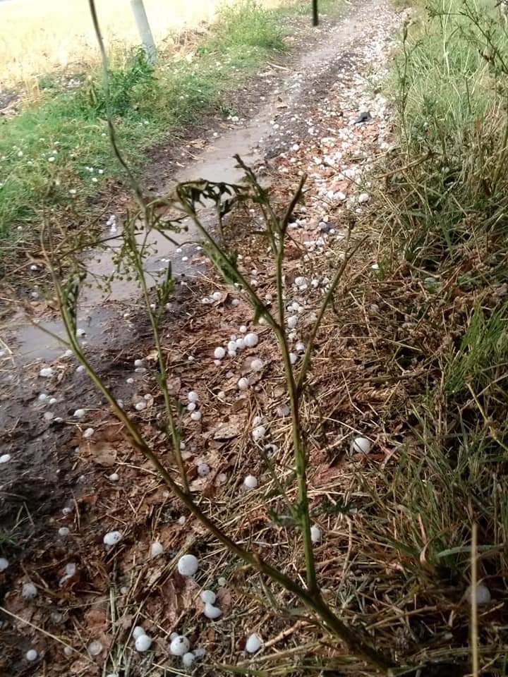 बेमौसम बारिश ने तोड़ी किसानों की कमर, अब झेलना पड़ेगा लाखों का नुकसान