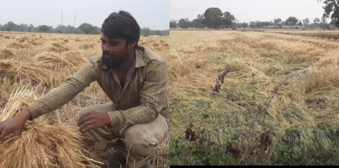 लॉकडाउन के बीच किसानों पर मौसम की मार, फसलें बर्बाद