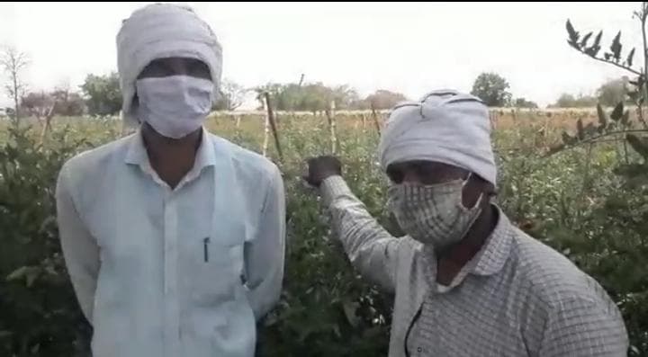 खरगोन: लॉकडाउन की वजह से किसान त्रस्त, नहीं मिल पा रहा फसलों का उचित दाम