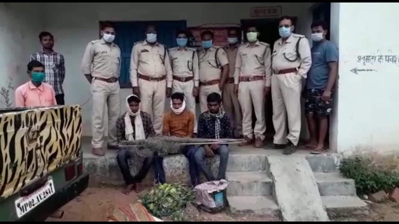मांस खाने 121 पल्म तोते का शिकार, 3 आरोपी गिरफ्तार