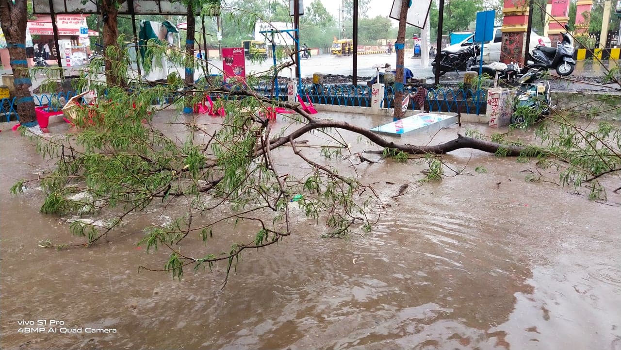 तेज बारिश में खुली नगर पालिका की पोल,कई इलाकों में जलभराव,पेड़ गिरने से सड़कें जाम